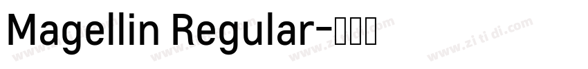 Magellin Regular字体转换